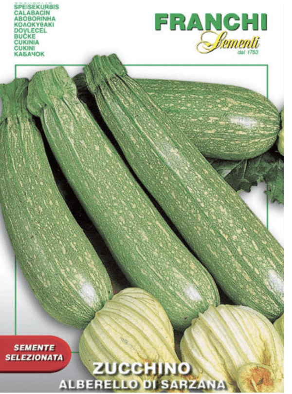 Squash - Summer - Zucchini Alberello di Sarzana (3.25" pot)